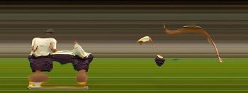 Work: TAICHI MOTION STUDY 166, 2005 Los Angeles CA