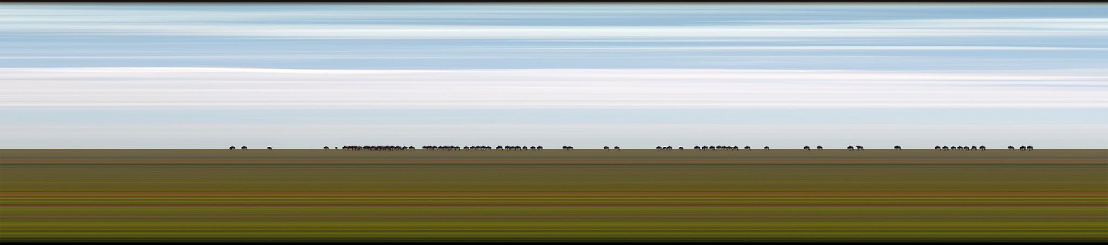 Jay Mark Johnson, MAASAI MARA #112, 2014 Maasai Mara
archival pigment on paper, mounted on aluminum, 40 x 180 in. (101.6 x 457.2 cm)