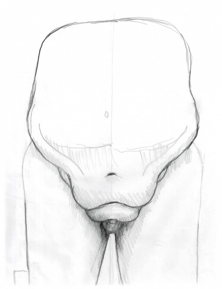 PRIVATE EQUITY design sketch 1